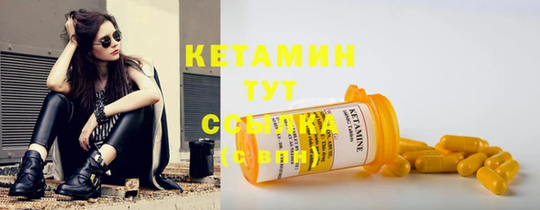 a pvp Пересвет