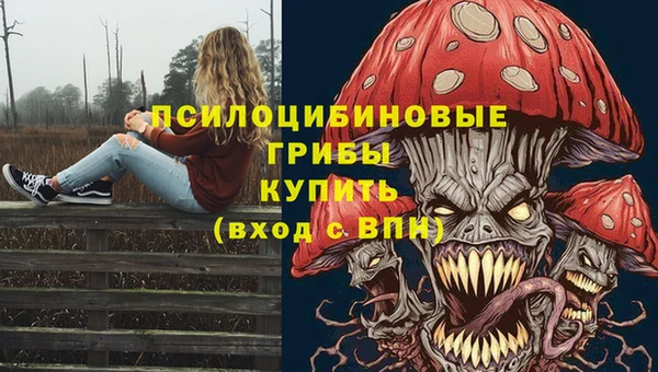 прущие грибы Пестово