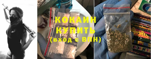 прущие грибы Пестово