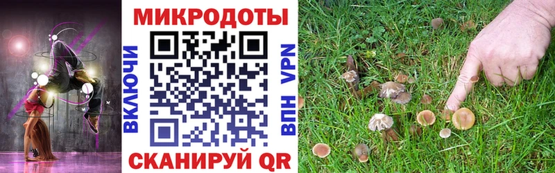 Галлюциногенные грибы Magic Shrooms  Зерноград 